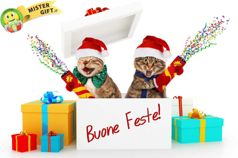 Buone Feste - Auguri Gatti