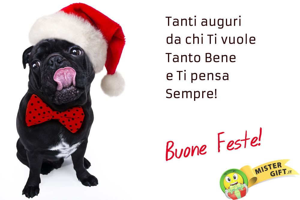 Buone Feste - Cane di Natale