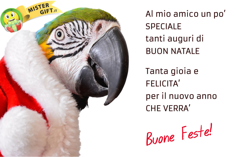 Buone Feste - Auguri in Rima