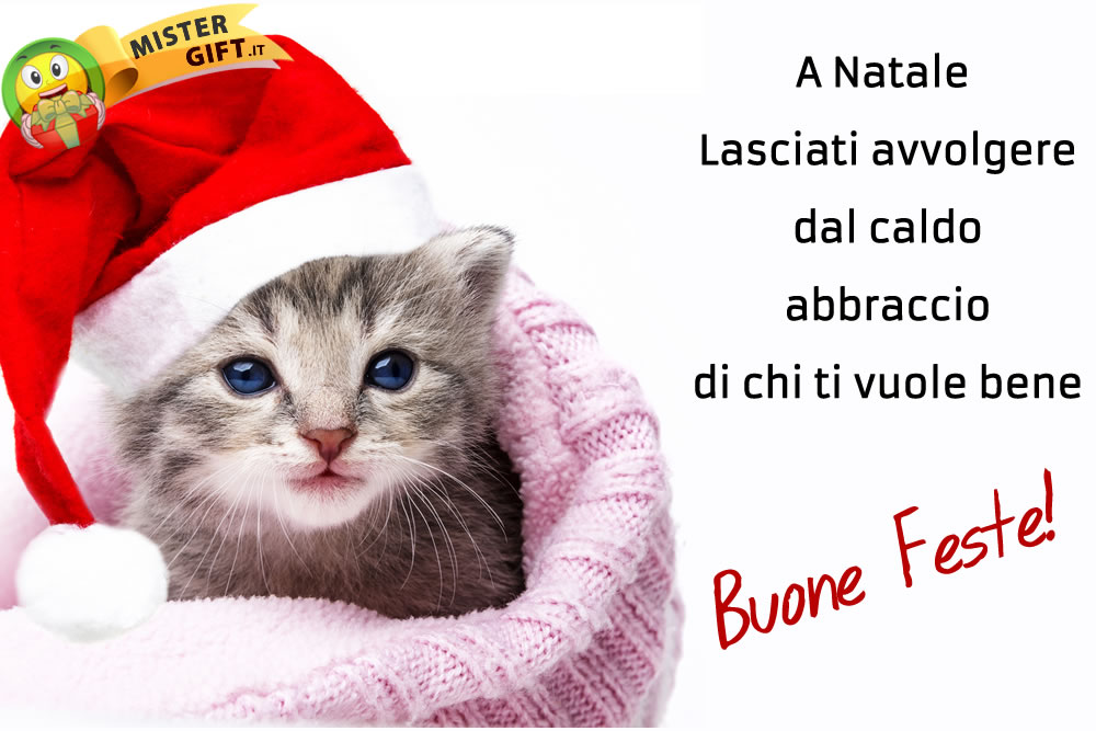 Buone Feste - Auguri Micino - Auguri Dolci