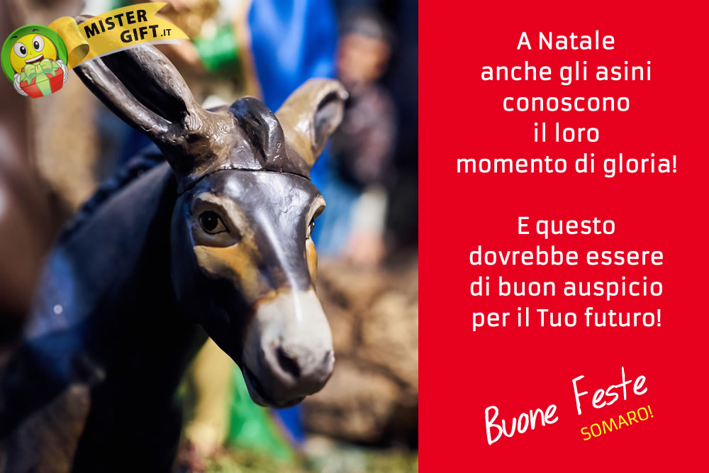 Buone Feste - Augiri Somaro - Auguri Divertenti