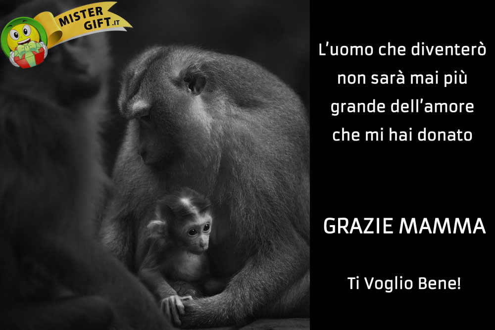 Immagine Festa della Mamma - Per tutto l'amore che mi hai dato