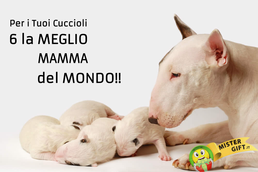 Immagine Festa della Mamma - La migliore Mamma del Mondo