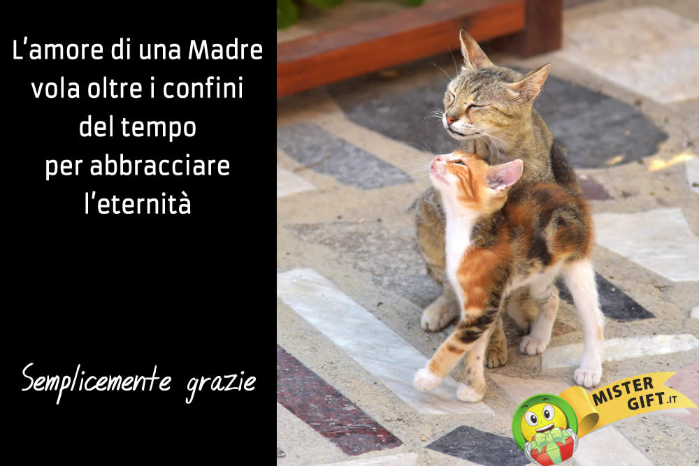 Immagine Festa della Mamma - L'Amore di una Madre è Eterno