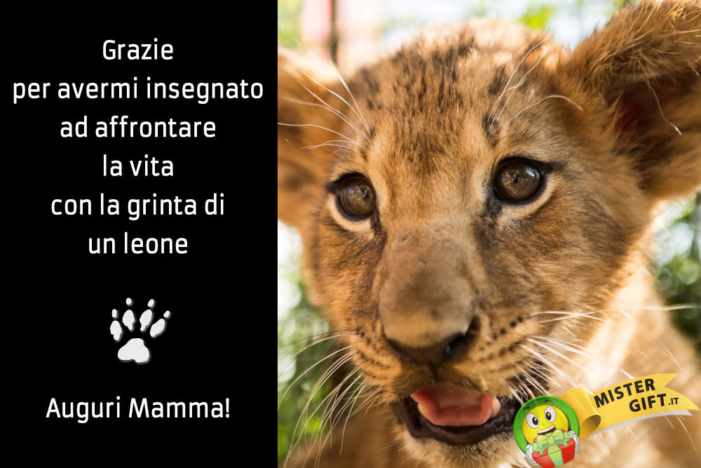 Immagine Festa della Mamma - Mamma Leone