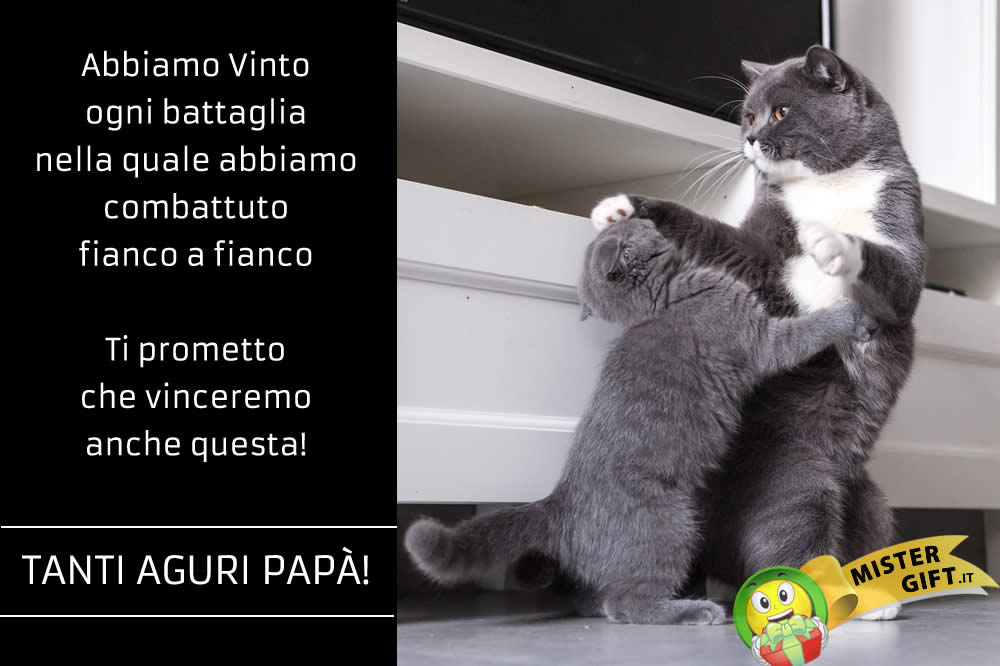 Immagine Festa del Papà - Papà Gatti Lottare Insieme